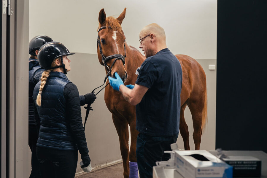 Veterinär undersöker en häst medan två ryttare står bredvid i ett undersökningsrum